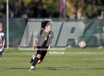 Thumbnail 3 in Meridian @ Borah photogallery.