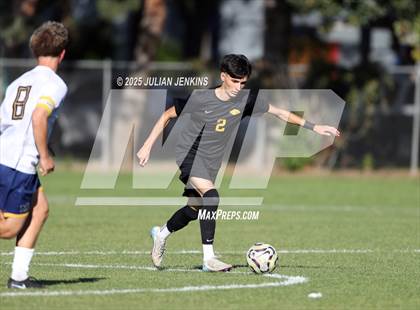 Thumbnail 2 in Meridian @ Borah photogallery.