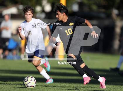 Thumbnail 1 in Meridian @ Borah photogallery.
