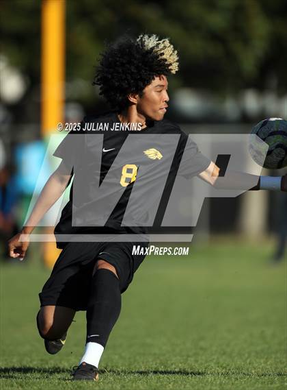 Thumbnail 1 in Meridian @ Borah photogallery.