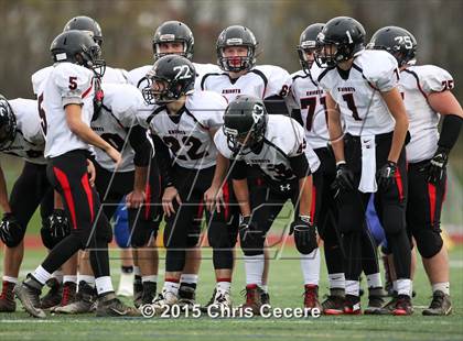 Thumbnail 1 in Le Roy vs. Haverling (Section 5 Class C Semifinal) photogallery.