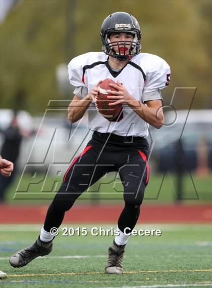 Thumbnail 1 in Le Roy vs. Haverling (Section 5 Class C Semifinal) photogallery.