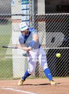 Photo from the gallery "Brandywine @ St. Georges Tech"