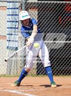 Photo from the gallery "Brandywine @ St. Georges Tech"