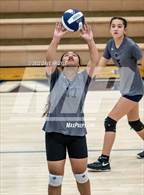 Photo from the gallery "Kearns @ Hunter"