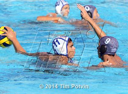 Thumbnail 2 in Claremont vs. Los Altos (CIF SS D5 Final) photogallery.