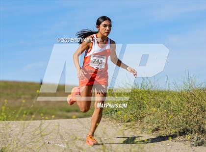 Thumbnail 1 in Angeles League Finals photogallery.