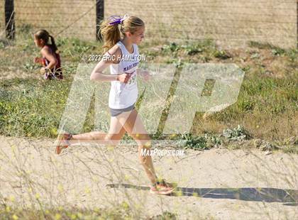 Thumbnail 1 in Angeles League Finals photogallery.