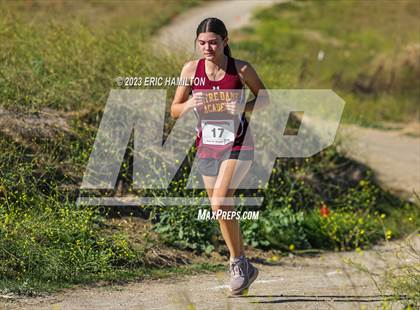 Thumbnail 3 in Angeles League Finals photogallery.