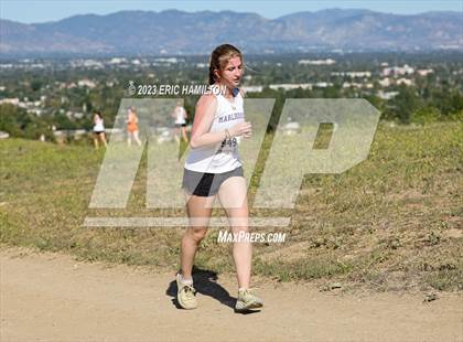 Thumbnail 1 in Angeles League Finals photogallery.