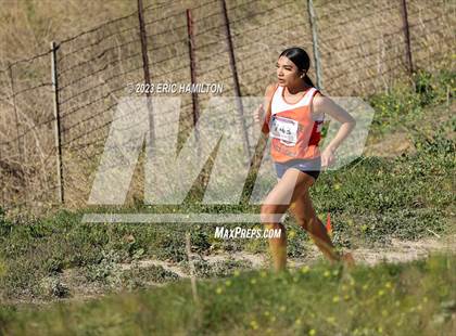Thumbnail 3 in Angeles League Finals photogallery.