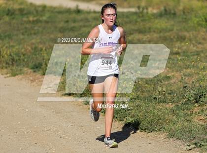 Thumbnail 1 in Angeles League Finals photogallery.