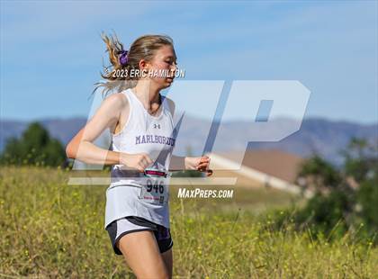Thumbnail 2 in Angeles League Finals photogallery.