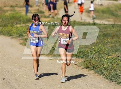 Thumbnail 2 in Angeles League Finals photogallery.