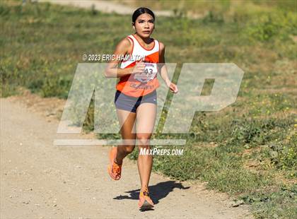 Thumbnail 2 in Angeles League Finals photogallery.