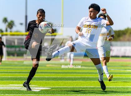 Thumbnail 2 in Salpointe Catholic vs Saguaro (AIA 4A Final) photogallery.