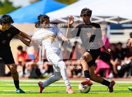 Thumbnail 1 in Salpointe Catholic vs Saguaro (AIA 4A Final) photogallery.