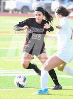Photo from the gallery "Lee Williams vs. Salpointe Catholic (AIA 6A Semifinal)"