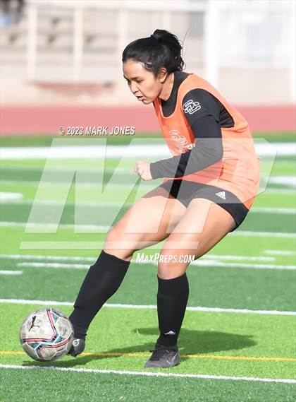 Thumbnail 1 in Lee Williams vs. Salpointe Catholic (AIA 6A Semifinal) photogallery.