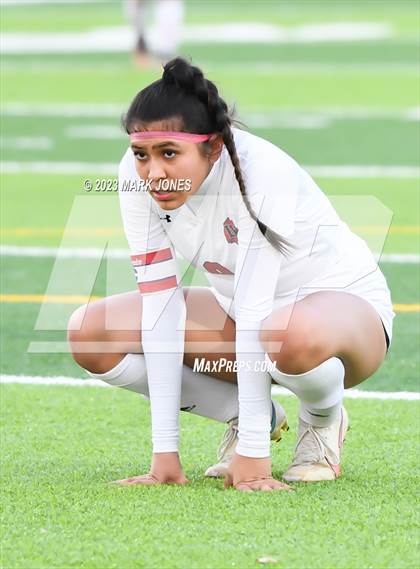 Thumbnail 2 in Lee Williams vs. Salpointe Catholic (AIA 6A Semifinal) photogallery.