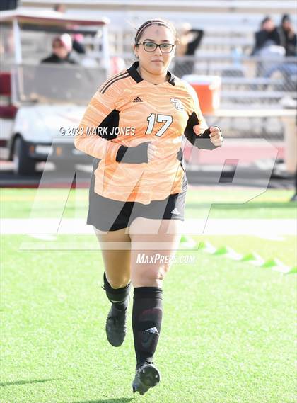 Thumbnail 3 in Lee Williams vs. Salpointe Catholic (AIA 6A Semifinal) photogallery.