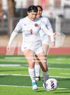 Photo from the gallery "Lee Williams vs. Salpointe Catholic (AIA 6A Semifinal)"