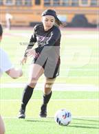 Photo from the gallery "Lee Williams vs. Salpointe Catholic (AIA 6A Semifinal)"