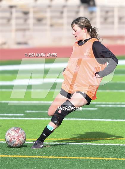 Thumbnail 2 in Lee Williams vs. Salpointe Catholic (AIA 6A Semifinal) photogallery.
