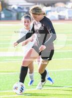 Photo from the gallery "Lee Williams vs. Salpointe Catholic (AIA 6A Semifinal)"