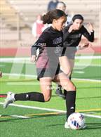 Photo from the gallery "Lee Williams vs. Salpointe Catholic (AIA 6A Semifinal)"