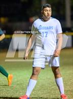 Photo from the gallery "Overhills @ Pine Forest"