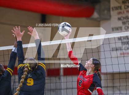 Thumbnail 3 in Lumberton @ Hoke County photogallery.