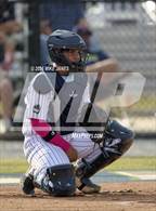 Photo from the gallery "Bishop Moore @ Windermere"