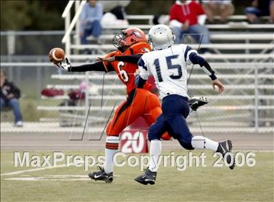null - Photo 11
