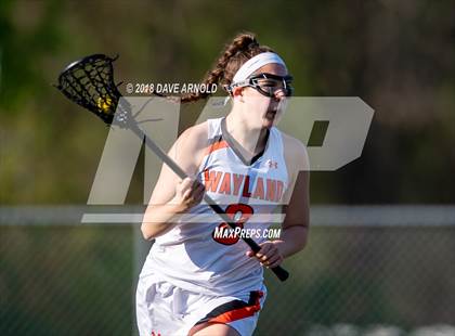 Thumbnail 3 in Needham @ Wayland photogallery.