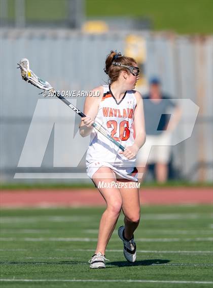 Thumbnail 3 in Needham @ Wayland photogallery.