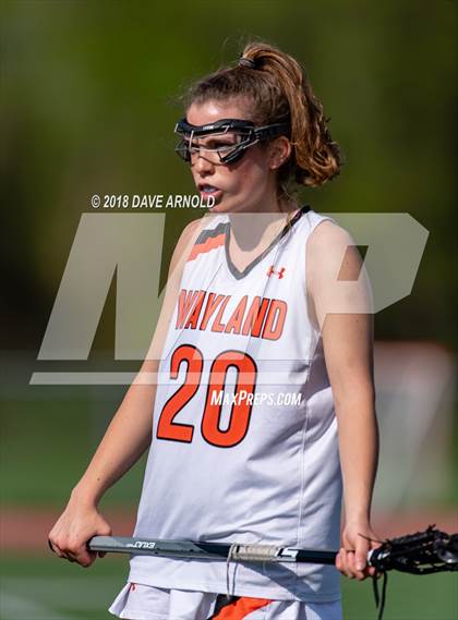Thumbnail 1 in Needham @ Wayland photogallery.