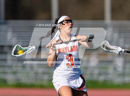 Thumbnail 1 in Needham @ Wayland photogallery.