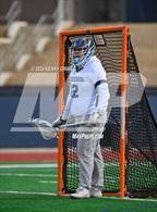 Photo from the gallery "Milton @ Pope"