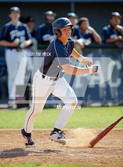 Thumbnail 1 in Millikan @ Pacifica photogallery.