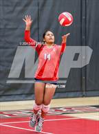 Photo from the gallery "East @ West"