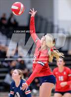 Photo from the gallery "East @ West"