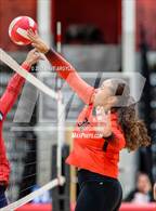Photo from the gallery "East @ West"