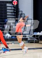 Photo from the gallery "East @ West"