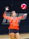Photo from the gallery "East @ West"