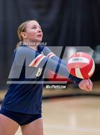 Photo from the gallery "East @ West"