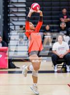 Photo from the gallery "East @ West"