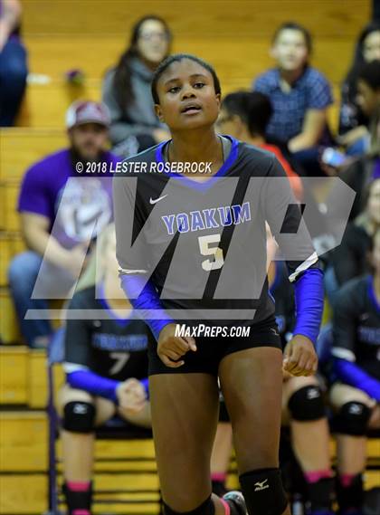 Thumbnail 3 in Yoakum @ Stockdale photogallery.