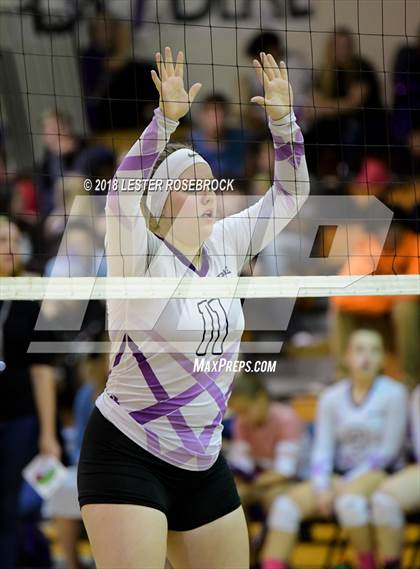 Thumbnail 3 in Yoakum @ Stockdale photogallery.