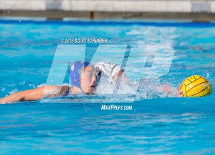Thumbnail 3 in Mountain View vs. Los Altos (CIF-CCS Division 1 Girls Water Polo Championship) photogallery.